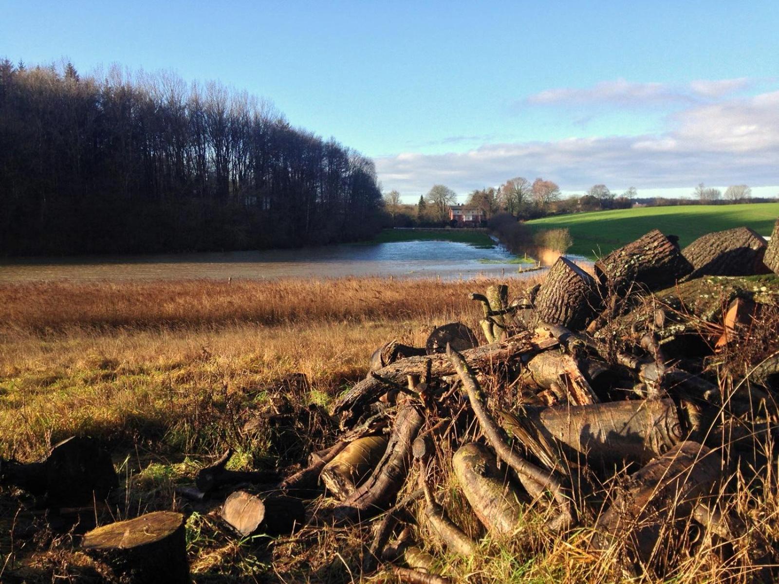 Ferienhaus Naturlich Wassermuhle Kappeln Esterno foto